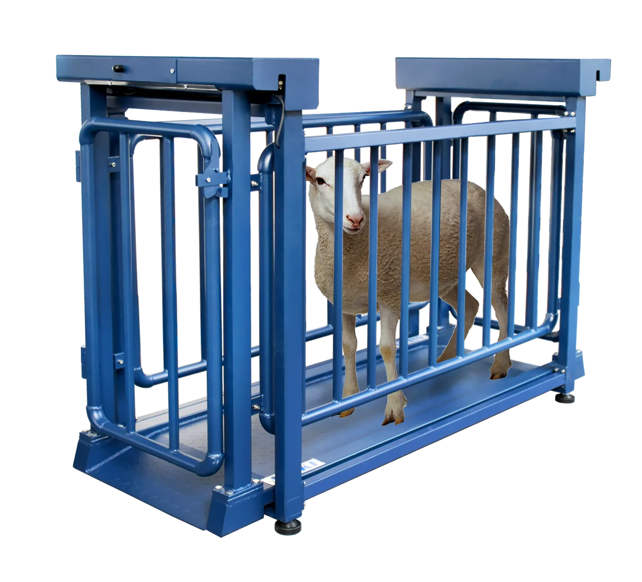 NW/NWQ Livestock Platform Scale NWQ1800-1.5 — product photo 2